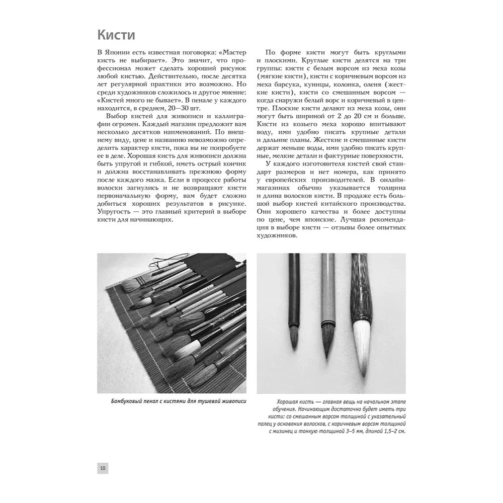 Книга "Основы японской живописи суми-э", Наталия Безвуляк - 14