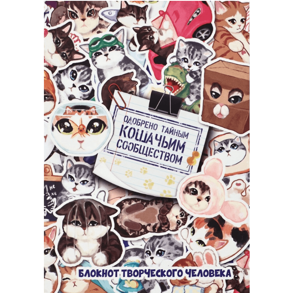 Блокнот творческий с заданиями "Котики", А6+, 120 листов