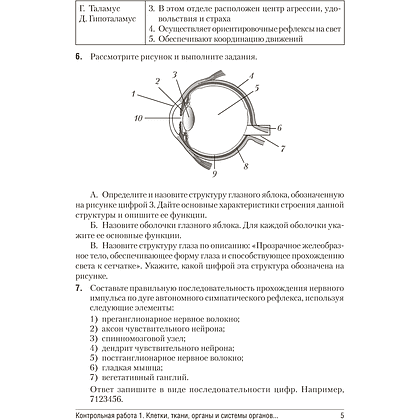 Биология. 9 класс. Сборник контрольных и самостоятельных работ, Пархомчук Т. В., Городович Н. И. - 4