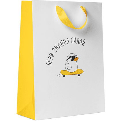 Пакет бумажный подарочный "Утки/Панды", 25.5х31.5х11 см, ассорти