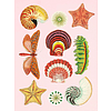Книга на английском языке "The Antiquarian Sticker Book: An Illustrated Compendium of Adhesive Ephemera", Odd Dot - 7