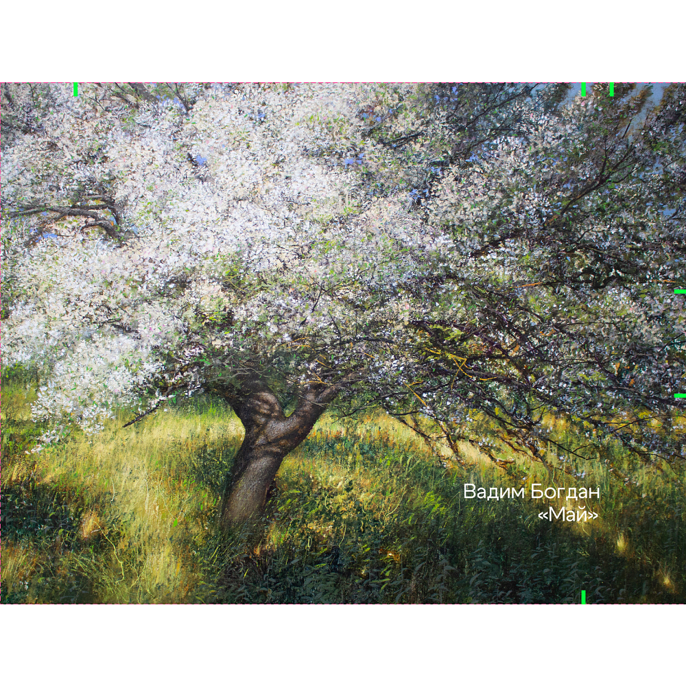 Кошелек "Май”, Вадим Богдан, текстиль, разноцветный - 4