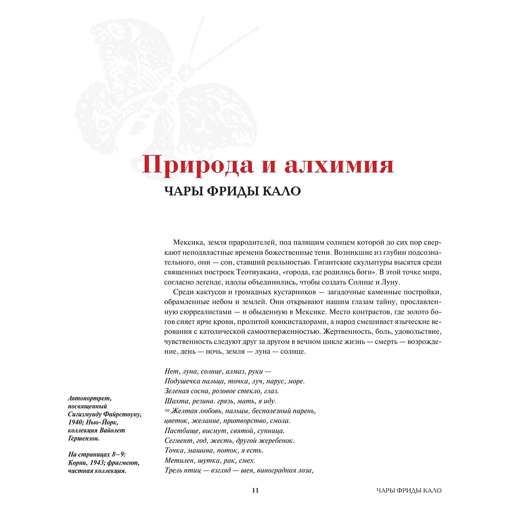 Книга "Истории Фриды. Жизнь и приключения Фриды Кало, бунтарки и изгоя", Альба Романо Паче - 10
