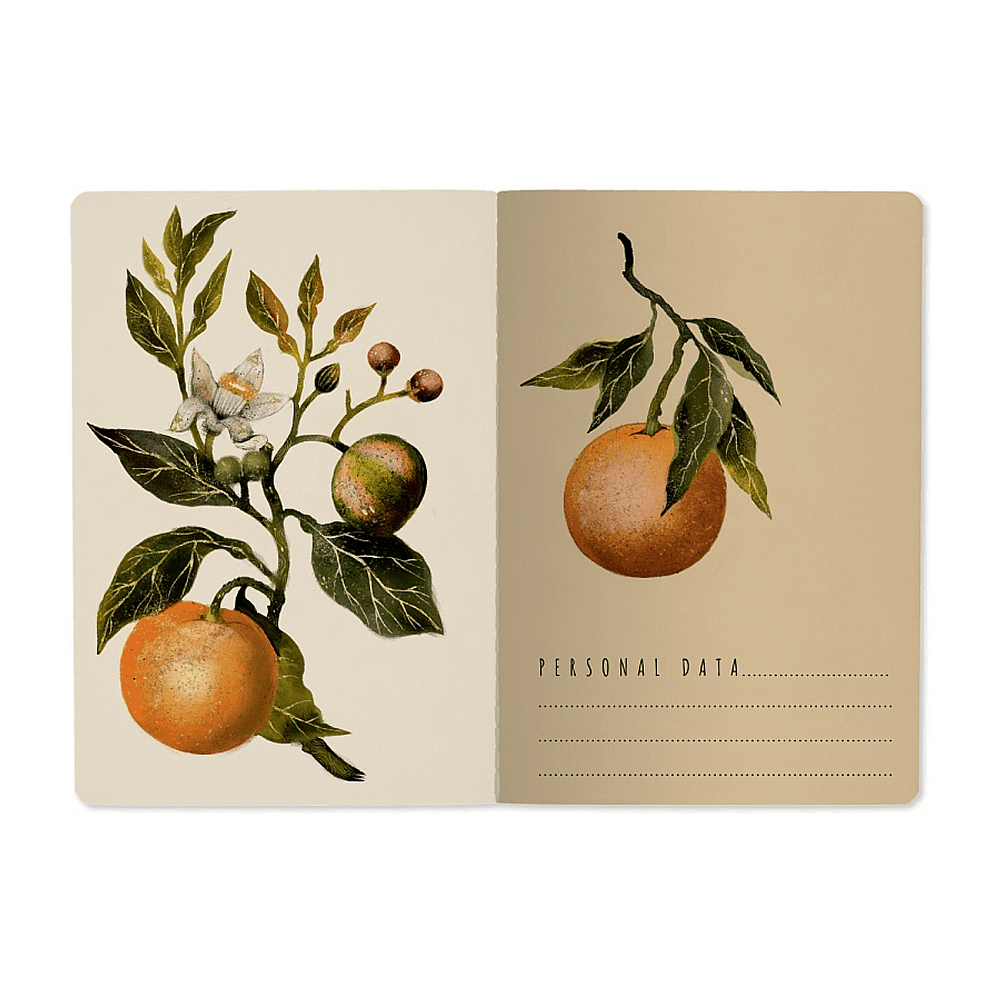 Тетрадь "Flora. Paradise. Oranges", A5, 40 листов, линейка, зеленый, оранжевый - 2