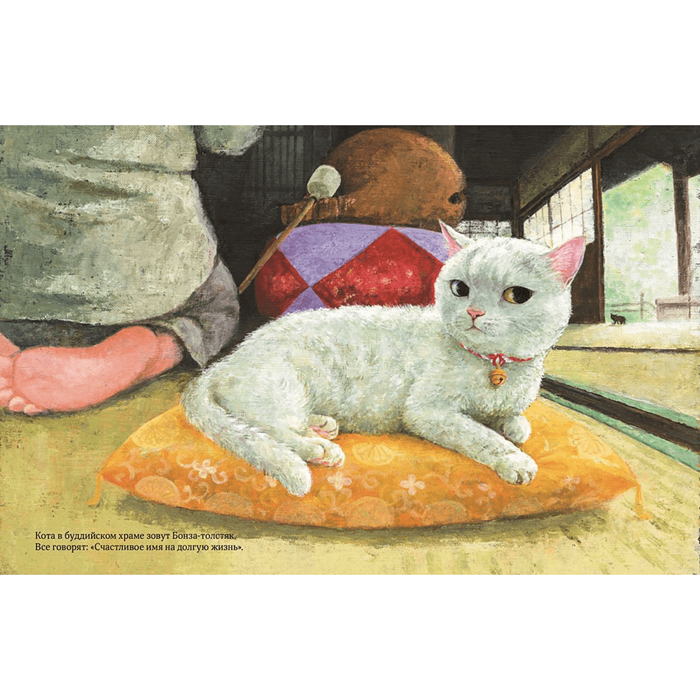 Книга "Кот без имени", Фумико Такэсита, иллюстрации Матида Наоко - 4