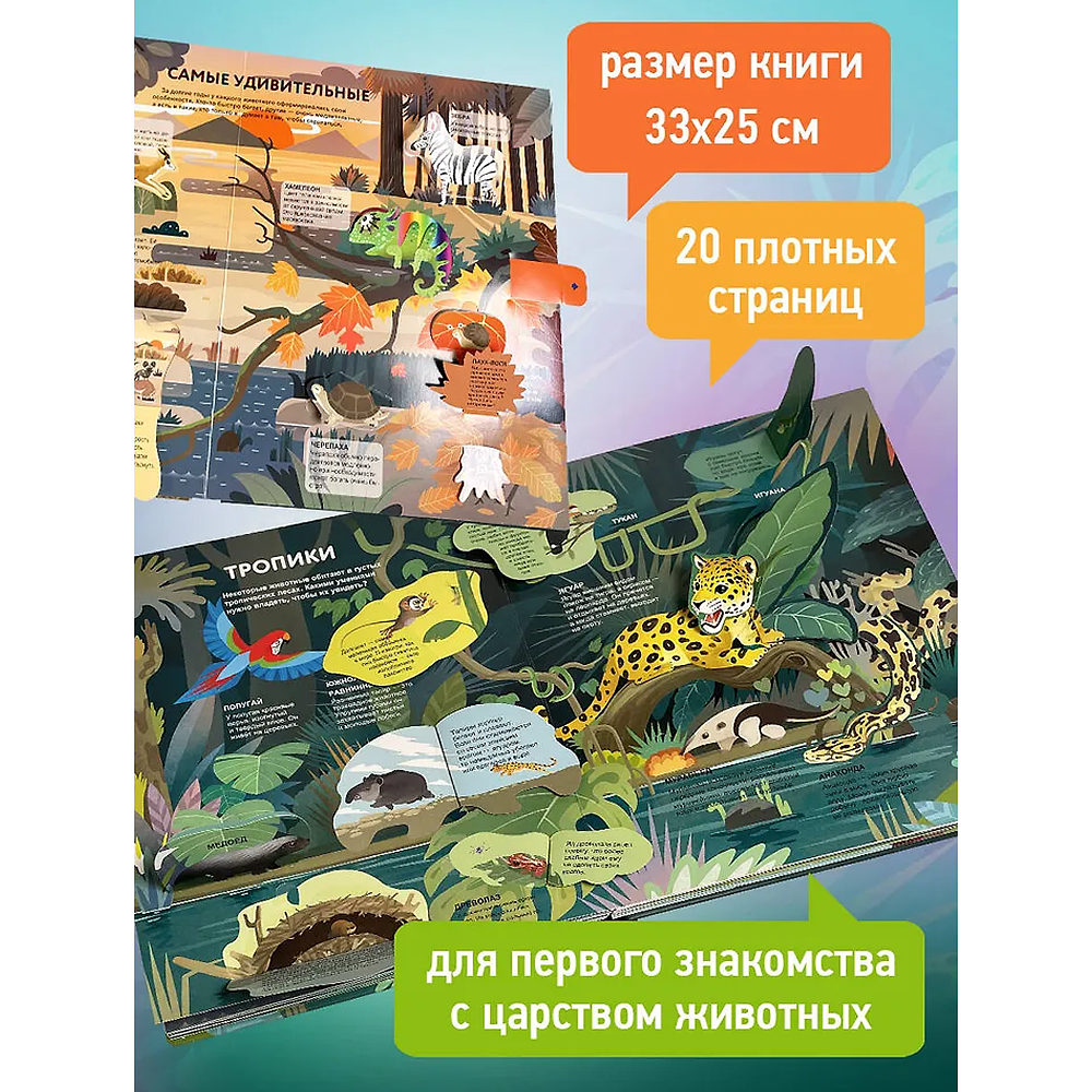 Книга "Удивительные животные" - 5