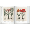 Книга на английском языке  "Florilegium. The Book of Plants. Garden at Eichstatt"  - 4