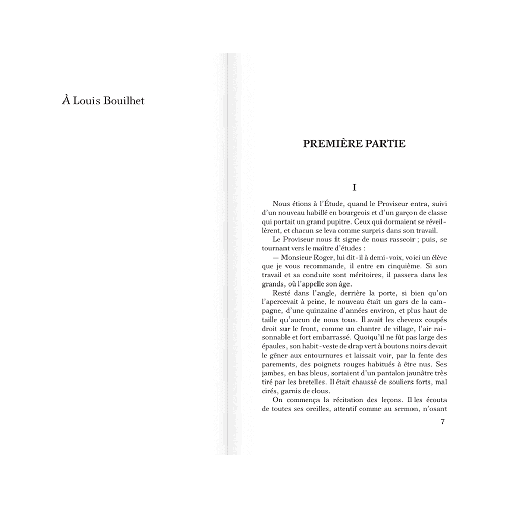 Книга на французском языке "Madame Bovary", Гюстав Флобер - 5