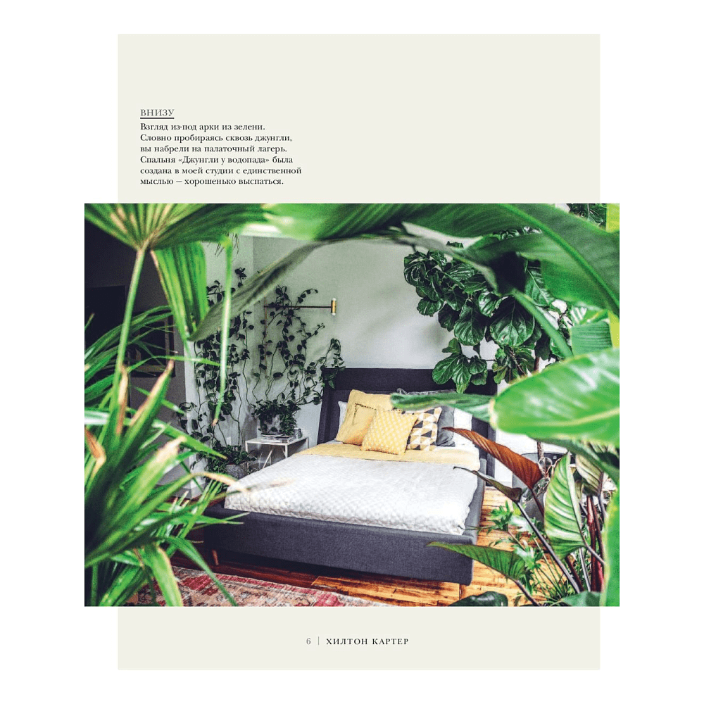 Книга "Wild at home. Как превратить свой дом в зеленый рай",  Картер Х. - 4