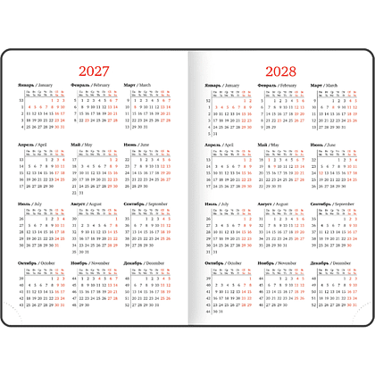 Ежедневник датированный "Impression" на 2027 год, А5, 352 страницы, розовый  - 6