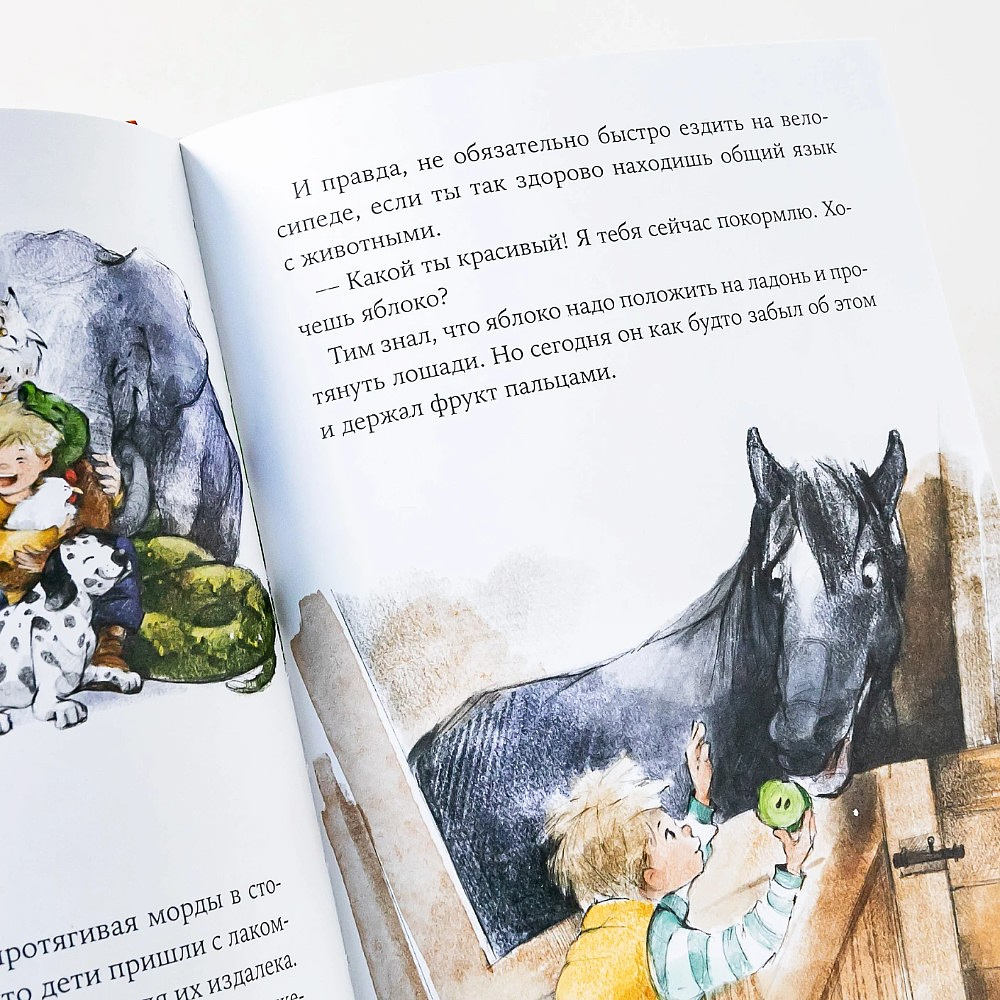 Книга "Однажды в Симплвельде", Наталья Ремиш - 8