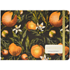 Скетчбук "Flora. Paradise. Oranges", 14.6х21.3 см, 100 г/м2, 100 листов, разноцветный - 2