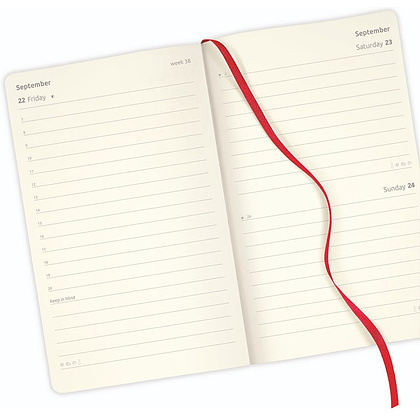 Ежедневник датированный Castelli Milano "Harris Maple Red" на 2024 год, A5, 384 страницы, линованный, кленово-красный - 3