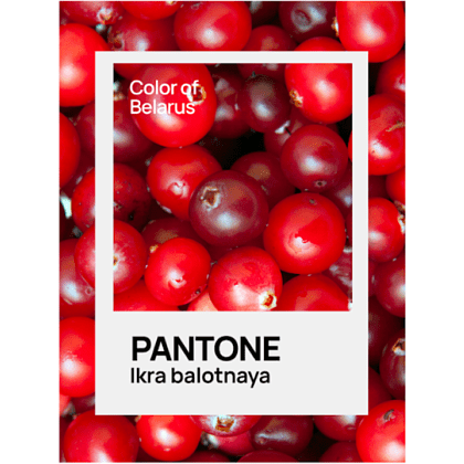 Кружка керамическая "Color of Belarus. Pantone Ikra balotnaya", 330 мл, белый - 2