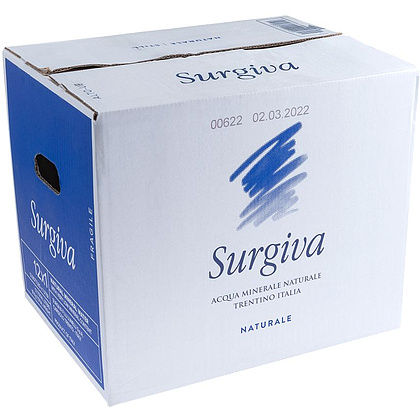 Вода минеральная природная питьевая «Surgiva», 1 л, негазированная, 12 бут/упак - 3