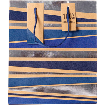 Пакет бумажный подарочный "Male stripe", 21.5x10.2x25.3 см - 2