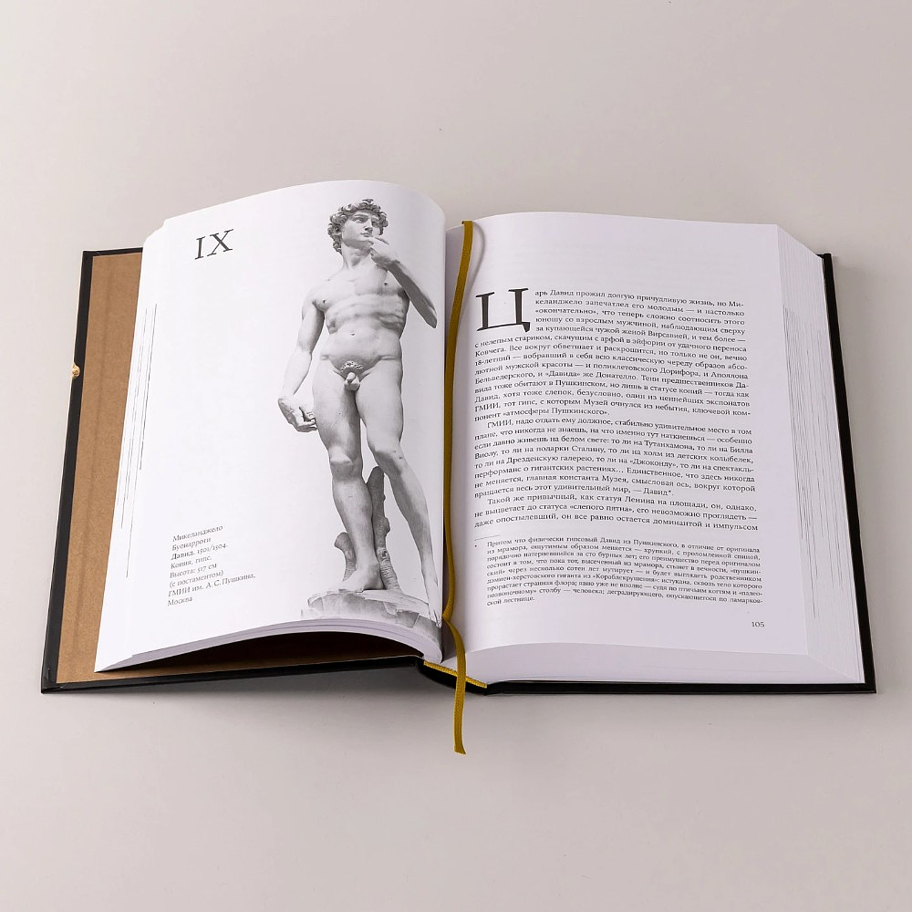 Книга "Палаццо Мадамы. Воображаемый музей Ирины Антоновой", Лев Данилкин - 9