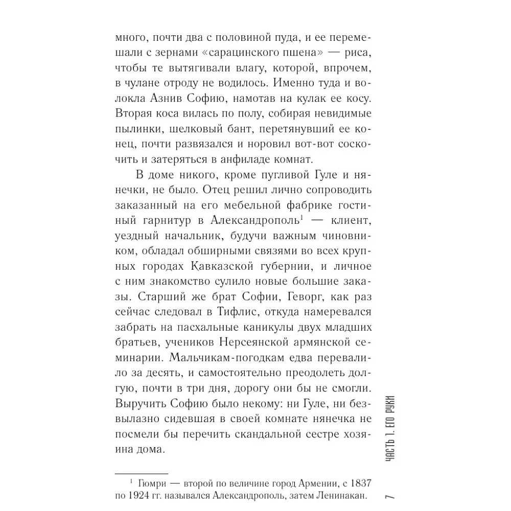 Книга "София возвращалась домой", Наринэ Абгарян - 6