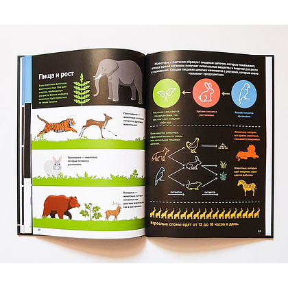 Книга "В мире животных: инфографика", Харриет Брандл - 6