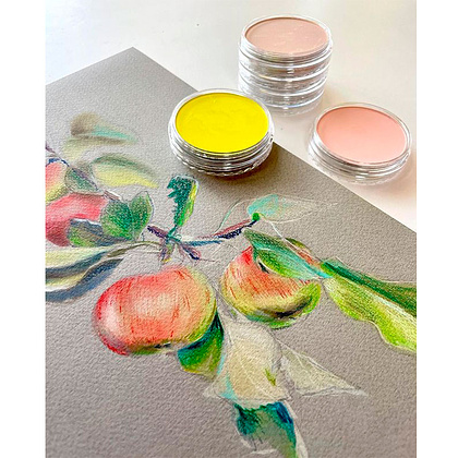 Ультрамягкая пастель "PanPastel", 740.3 сиена жженая тень - 6