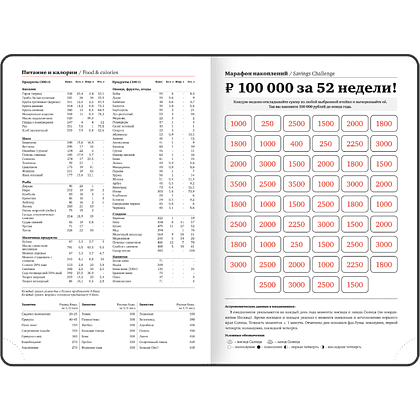 Ежедневник датированный "Plain" на 2027 год, А5, 352 страницы, черный  - 8