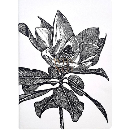 Тетрадь "Aesthetics цветок", А4, 40 листов, клетка, белый, черный