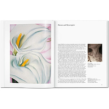 Книга "Basic Art, O'Keeffe", (Английский язык)