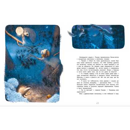 Книга "Летяга Такуми в Японии", Гаврилов А., Третьякова Е. - 4