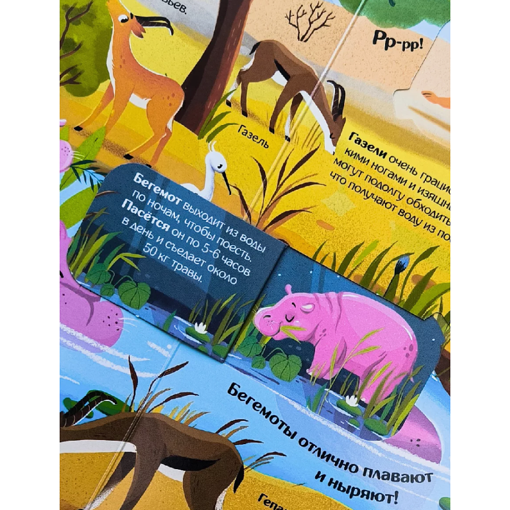 Книга "Книжка с окошками. Мир животных" - 9