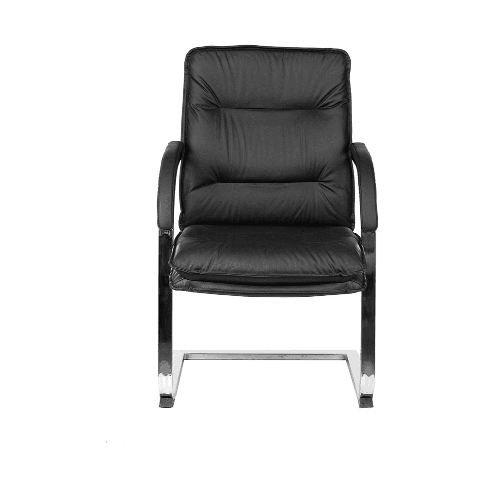 Кресло на полозьях "Бюрократ T-9927SL-LOW-V", натуральная кожа, черный, металл хром