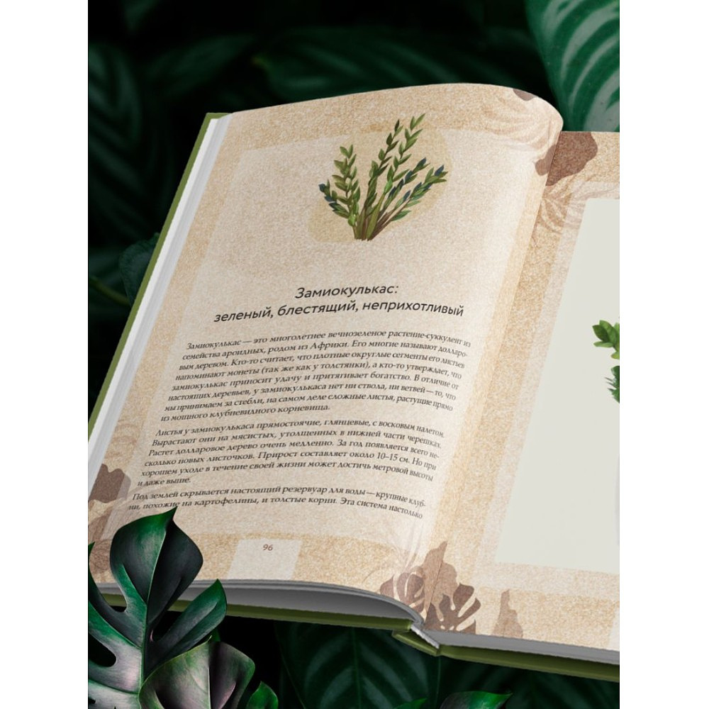 Книга "Зеленая комната. Как стать повелителем домашних джунглей", Илья Зеленов - 11