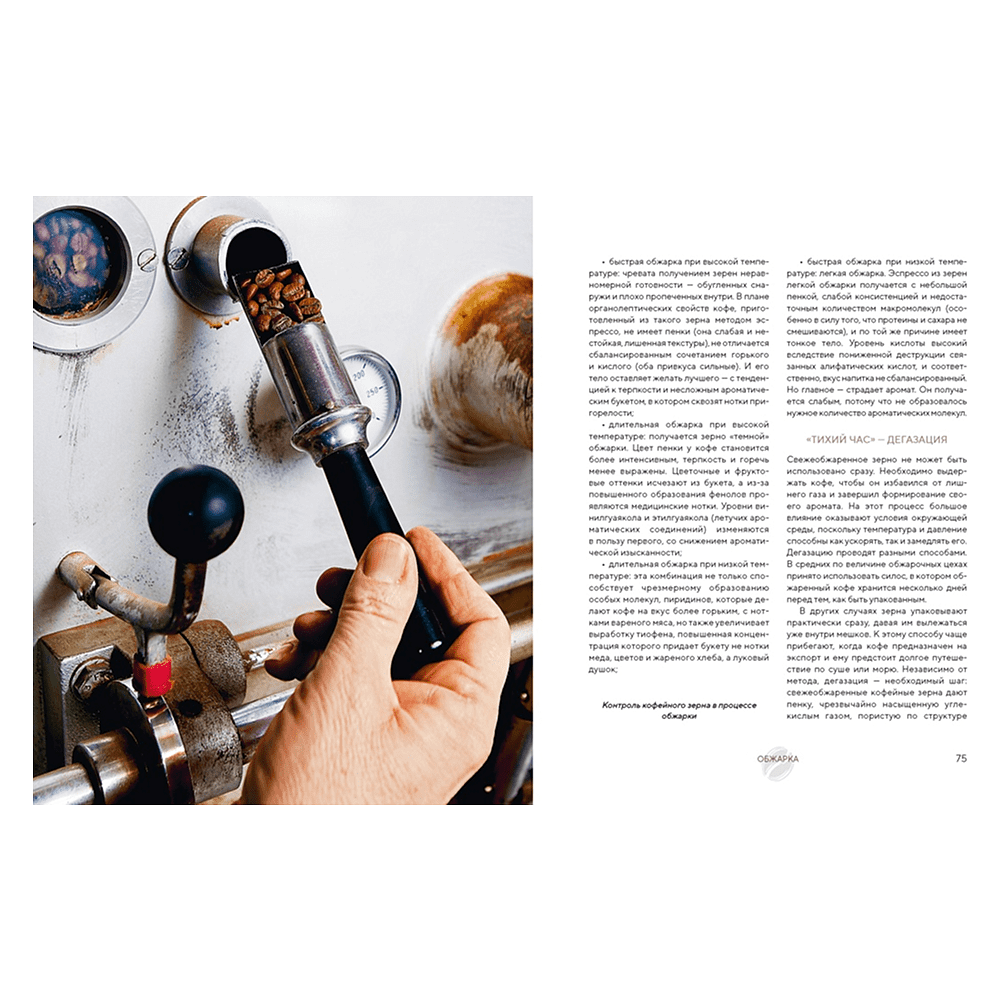 Книга "Философия кофе. От зерна до идеального напитка", Луиджи Оделло, Джованни Руджиери, Фабио Петрони - 8