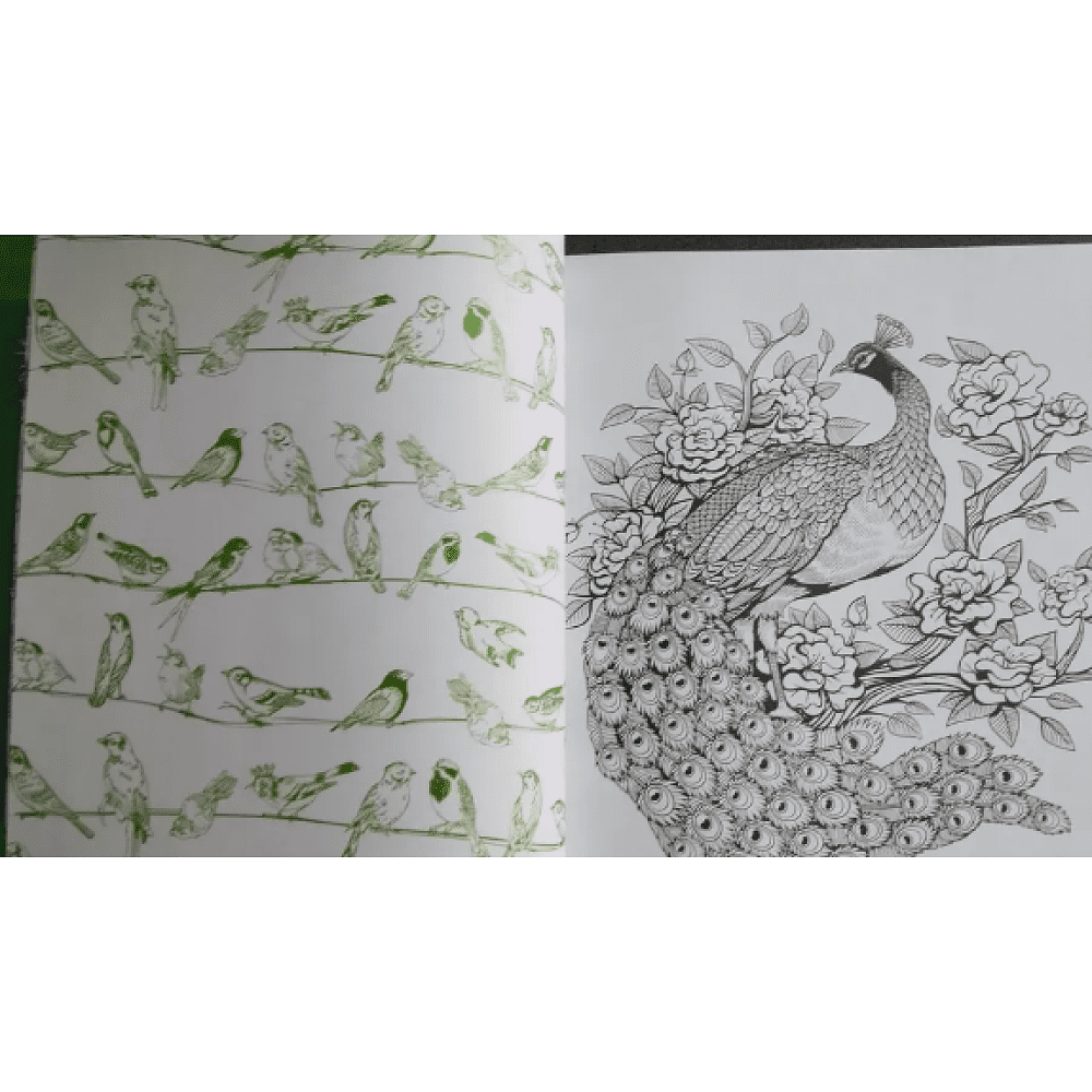 Раскраска на английском языке "Colouring Book. Beautiful Birds" - 3