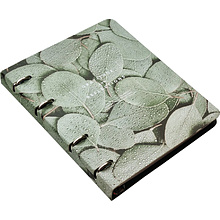 Тетрадь "Botanica эвкалипт популус", А5, 120 листов, клетка, зеленый