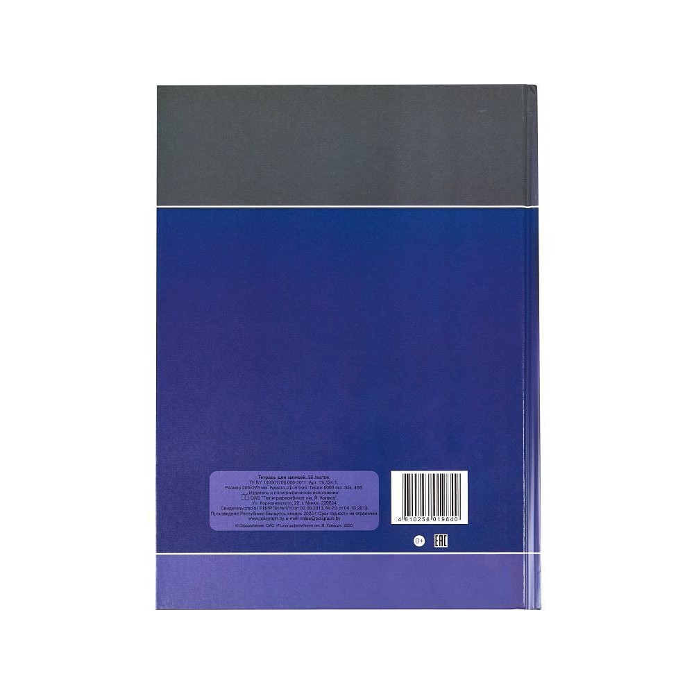 Книга канцелярская, A4, 96 листов, клетка, разноцветный, (992904) - 4