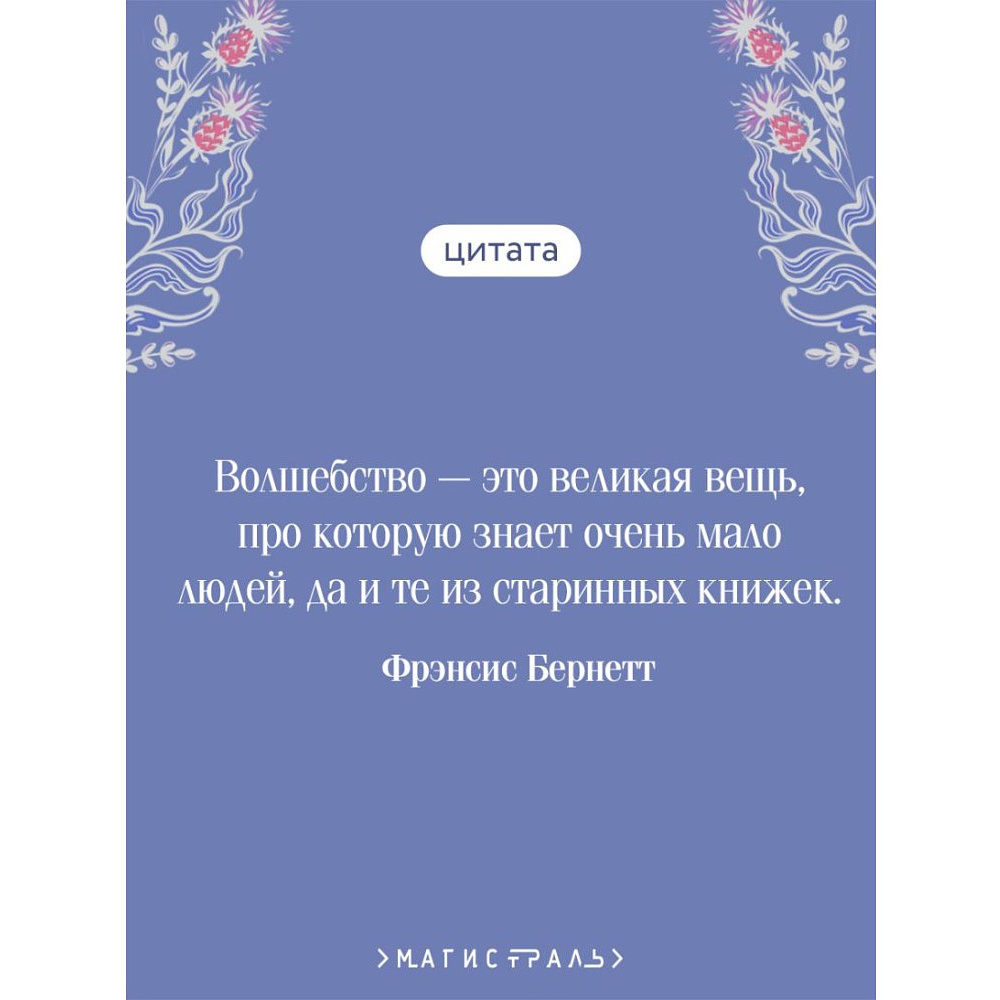 Книга "Магистраль. Колл. Таинственный сад (подарочное издание)", Фрэнсис Бернетт - 5