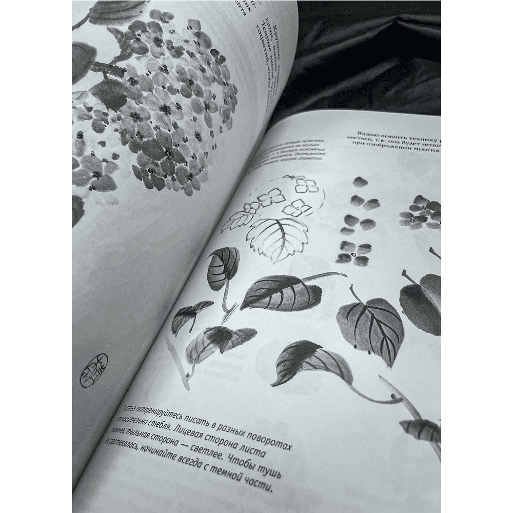 Книга "Основы японской живописи суми-э", Наталия Безвуляк - 3