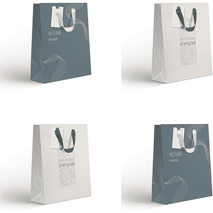 Пакет бумажный подарочный "Country LVS", 25.5х31.5х11 см, ассорти