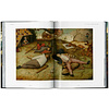 Книга на английском языке "Bruegel. The Complete Works", Jurgen Muller, Thomas Schauerte - 3