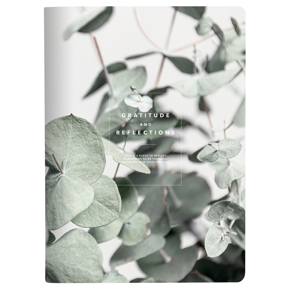Тетрадь "Botanica эвкалипт", A4, 40 листов, клетка, зеленый