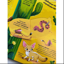 Книга "Книжка с окошками. Мир животных"