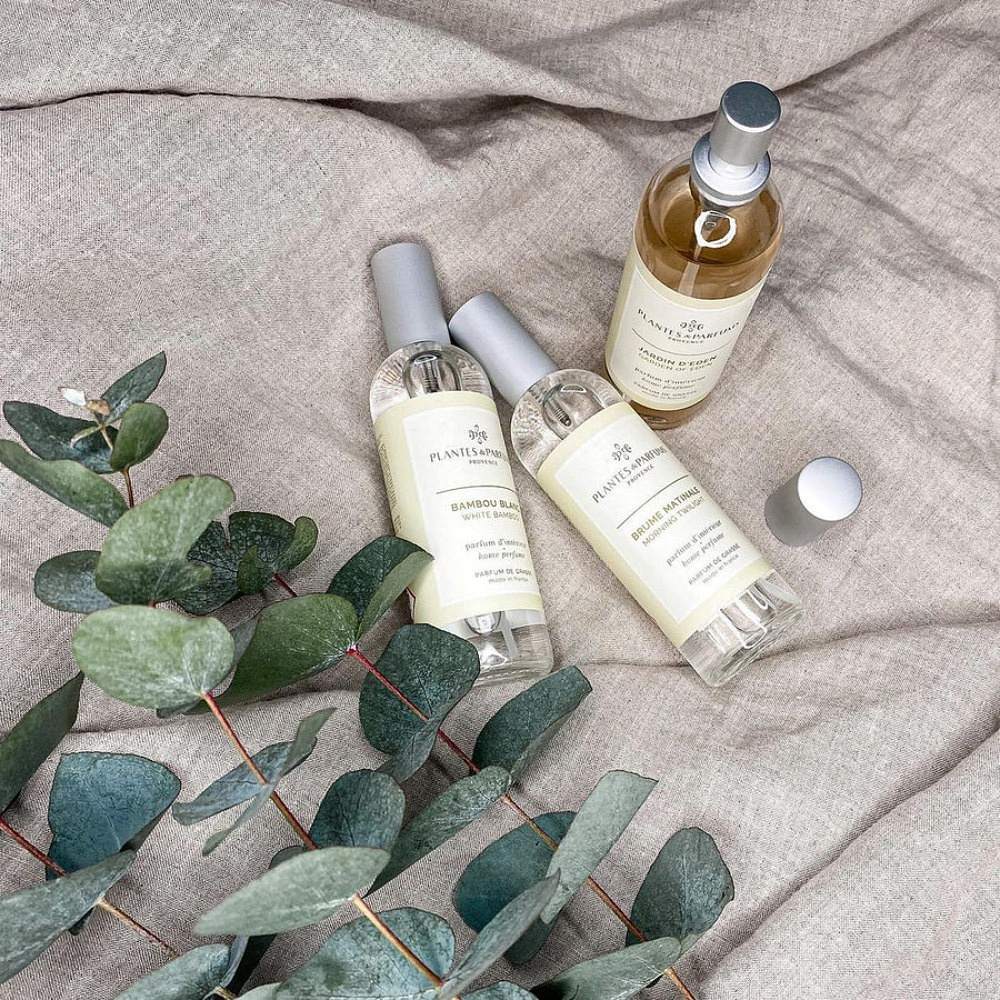 Духи интерьерные PLANTES&PARFUMS "White Bamboo", 100 мл  - 3