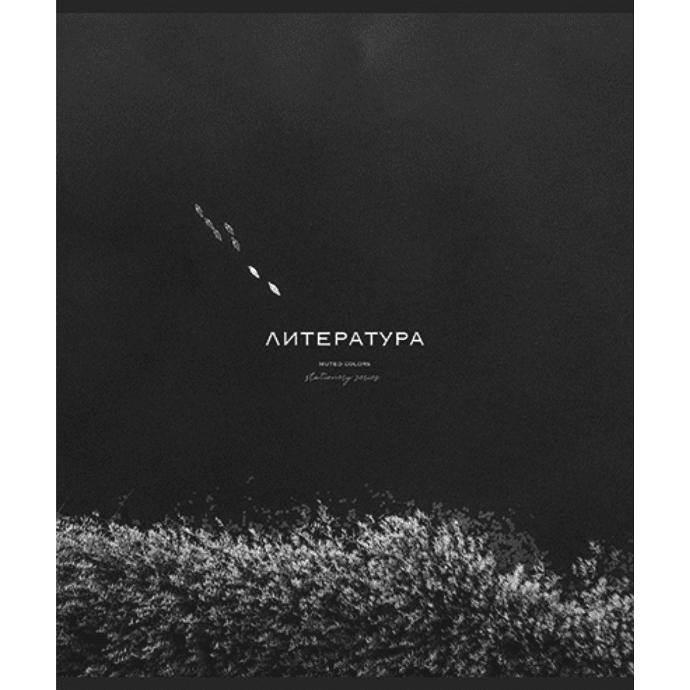 Тетрадь предметная "Моно. Литература", А5, 48 листов, линейка 