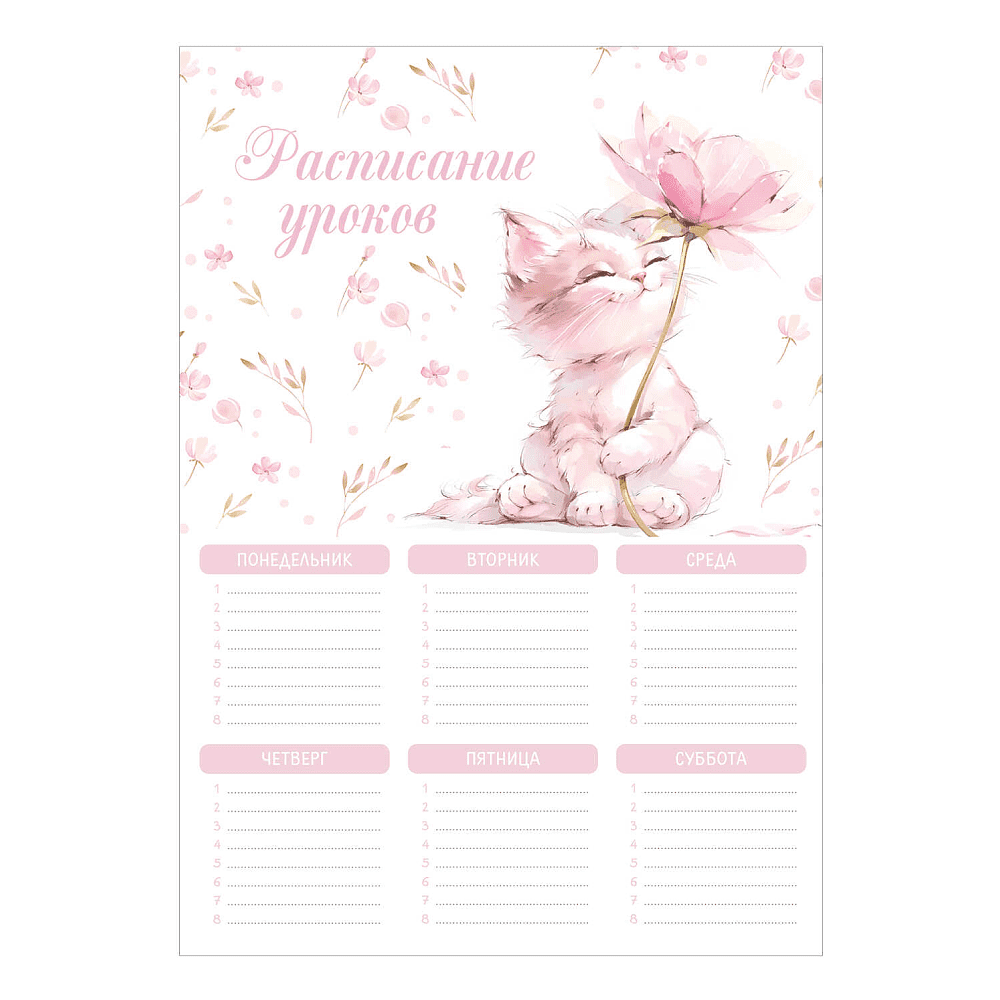 Расписание уроков "Кот с цветком", А4, белый, розовый