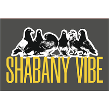 Магнит "Shabany vibe", 90х65 мм