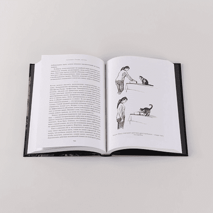 Книга "Человек среди котов. История близкого соседства", Наталья Резник - 6