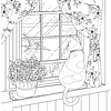 Книга "Цветочный сон котика Соры", Нацуки - 6