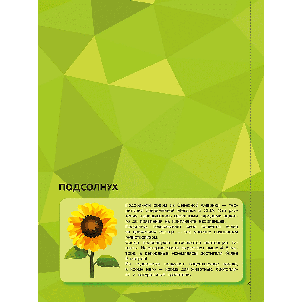 Книга "Рисуем наклейками. Магия цветов" - 7