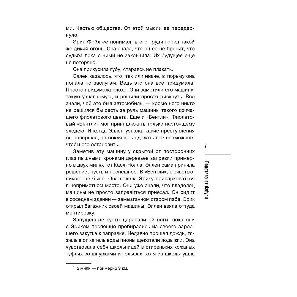 Книга "Подстава от бабули. Руководство по раскрытию собственного убийства", Кристен Перрин - 7