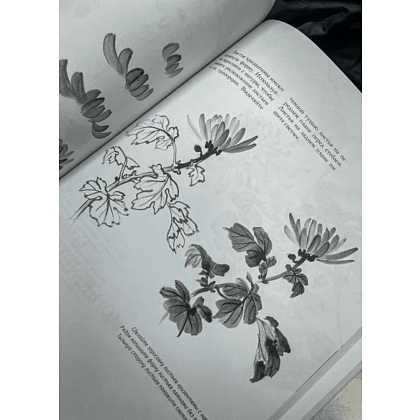 Книга "Основы японской живописи суми-э", Наталия Безвуляк - 4